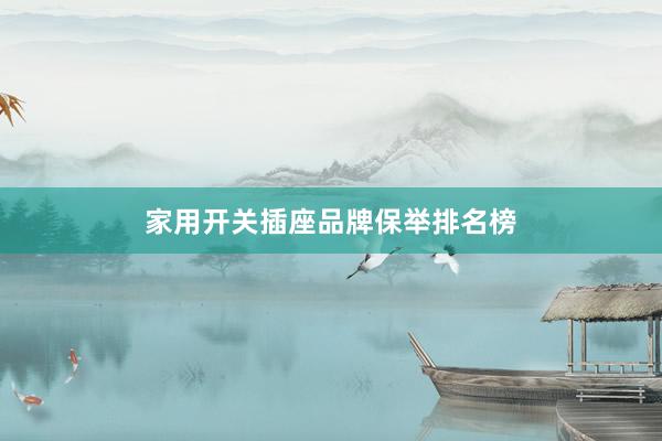 家用开关插座品牌保举排名榜